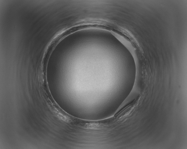 X0000083971172200702232010