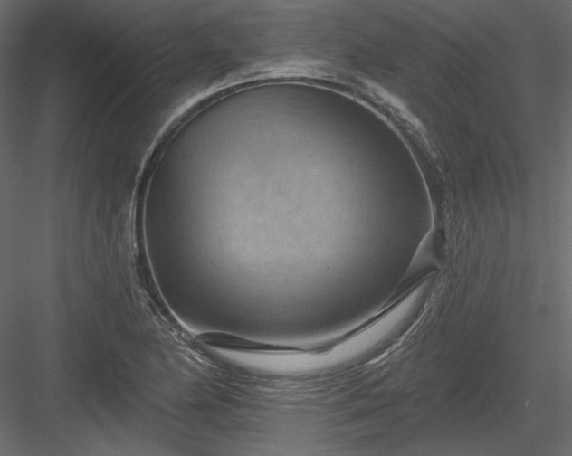 X0000083971174200702232010