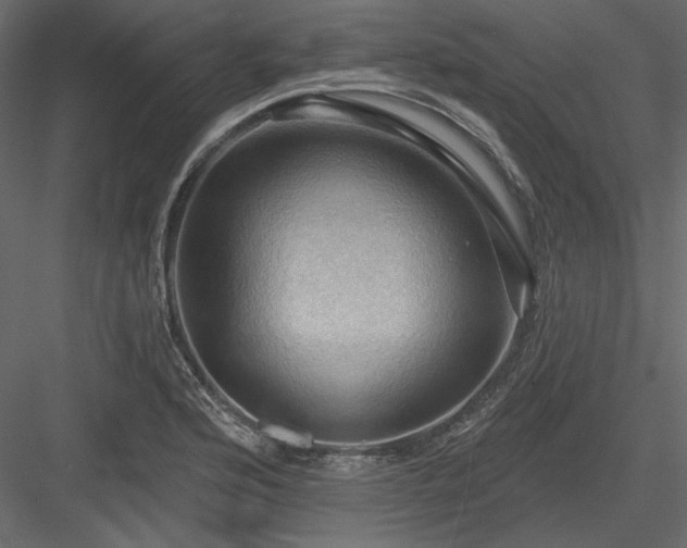 X0000083971176200702232010