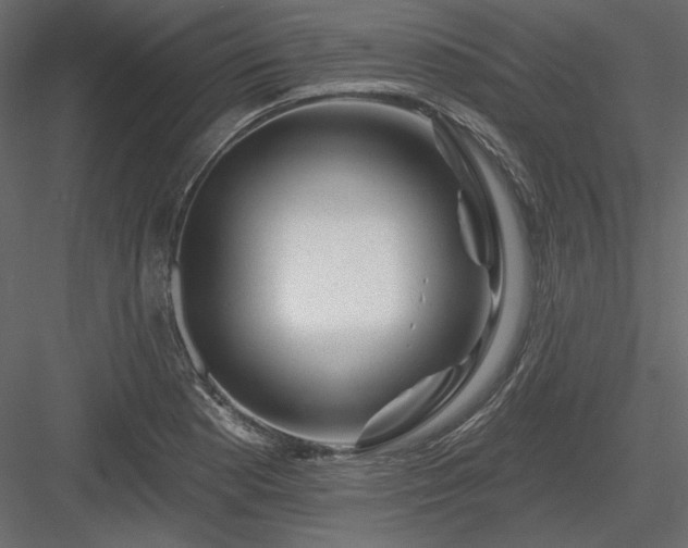 X0000083971177200702232010