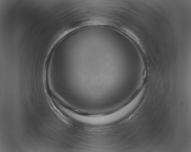 X0000083971179200702232010