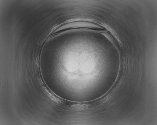 X0000083971185200702232010
