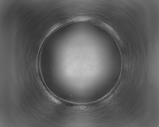 X0000083971186200702232010
