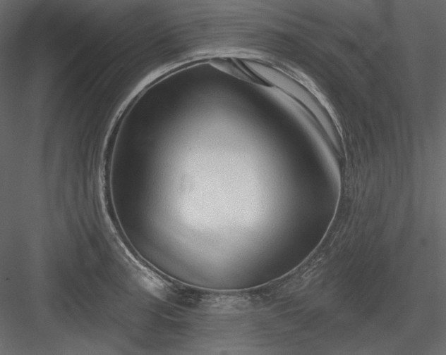 X0000083971187200702232010