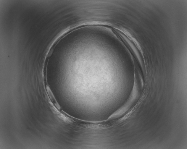 X0000083971189200702232010