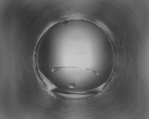 X0000083971190200702232010