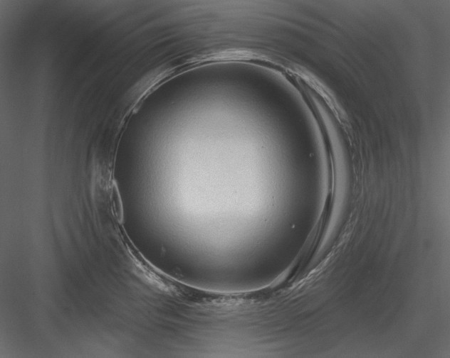 X0000083971193200702232009