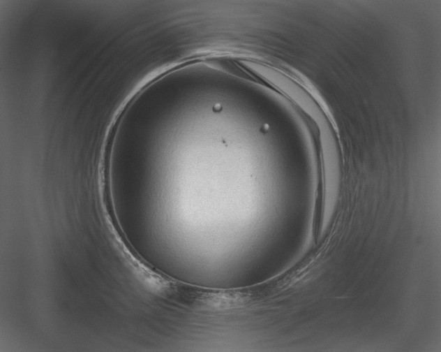 X0000083971195200702232009