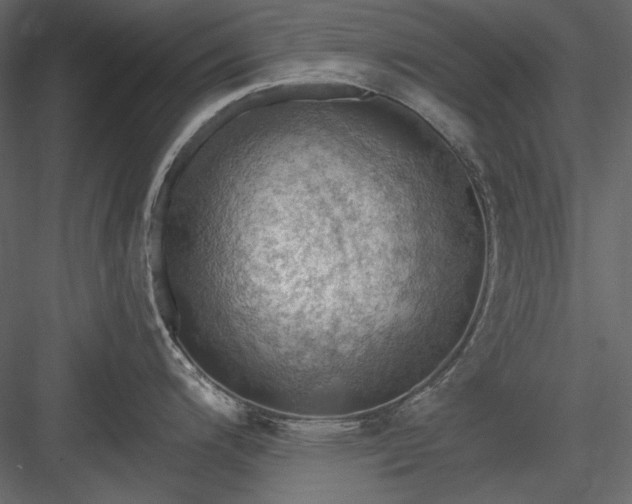 X0000083971200200702232009