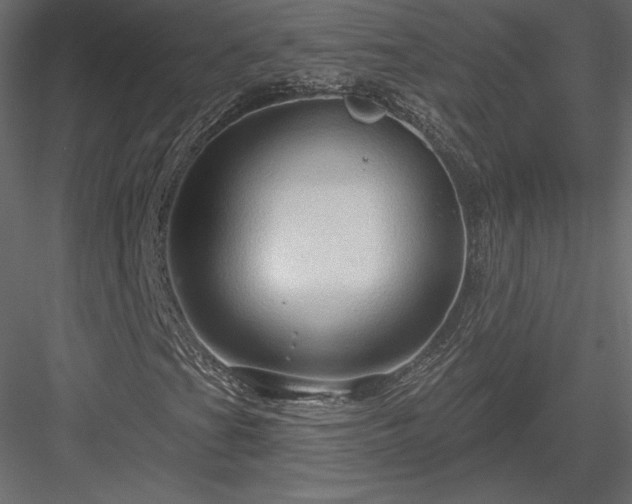 X0000083971201200702232009