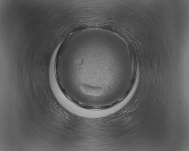 X0000083971202200702232009