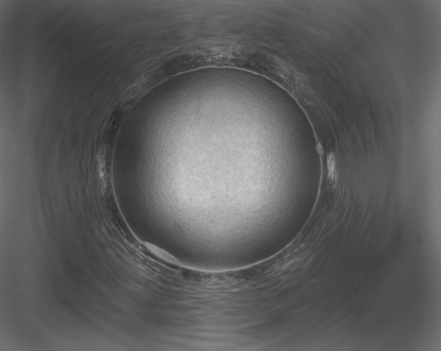 X0000083971203200702232009