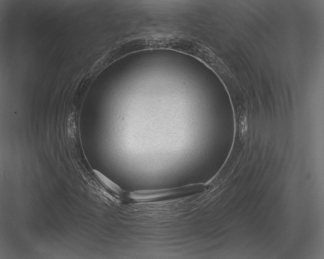 X0000083971204200702232009