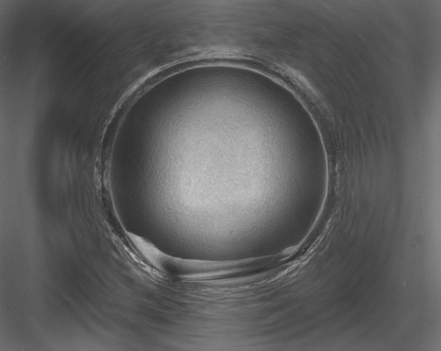 X0000083971212200702232009