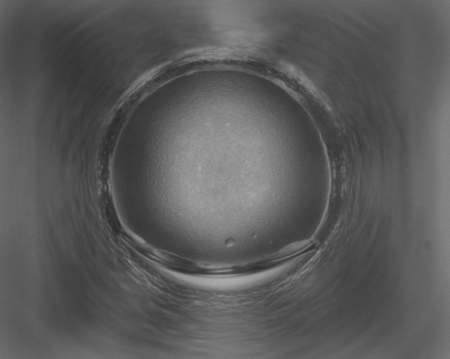 X0000083971213200702232009