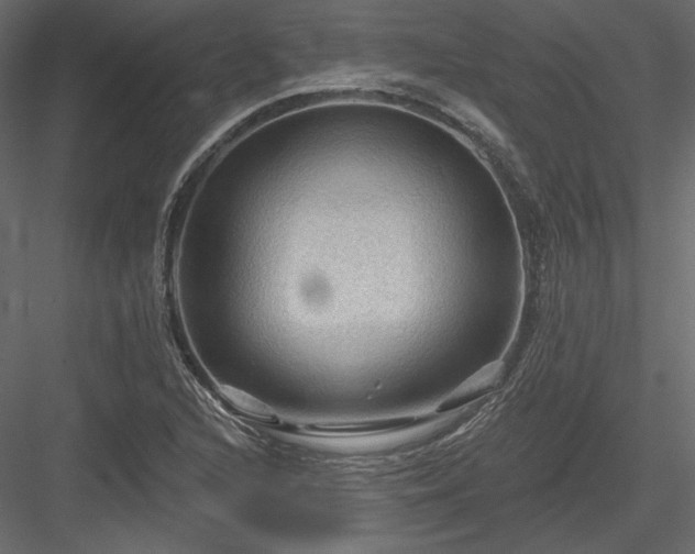 X0000083971216200702232009