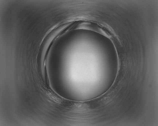 X0000083971218200702232009