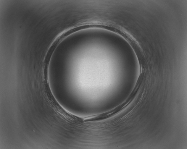 X0000083971222200702232009