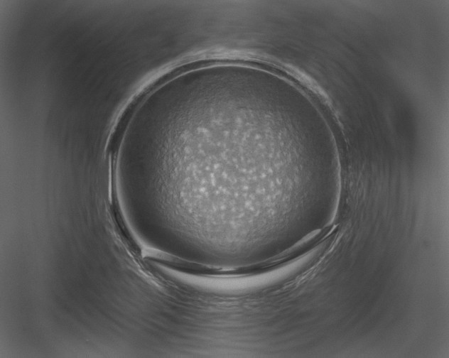 X0000083971223200702232009