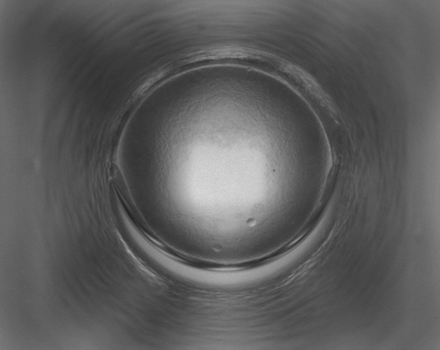 X0000083971225200702232009