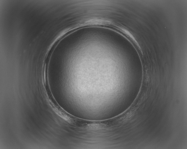 X0000083971227200702232009
