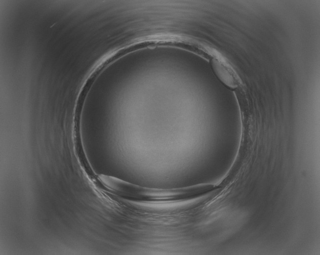 X0000083971229200702232009