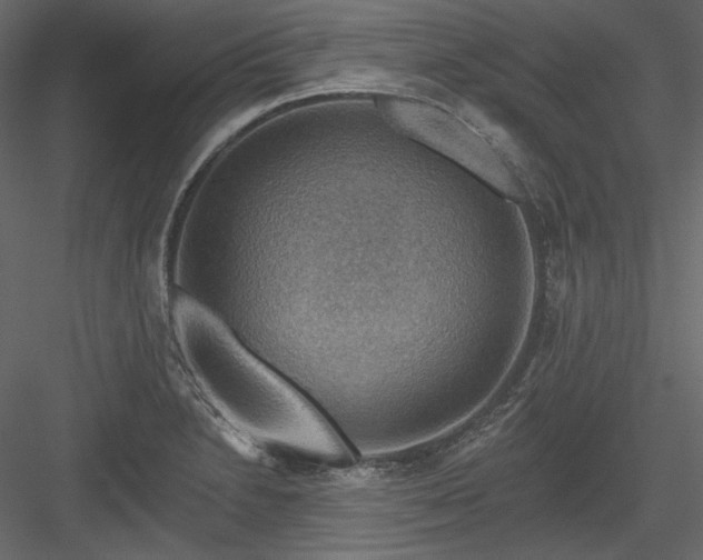 X0000083971230200702232009