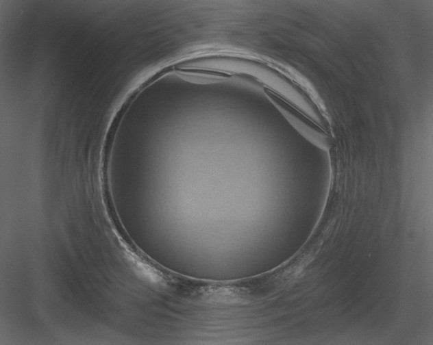 X0000083971231200702232009