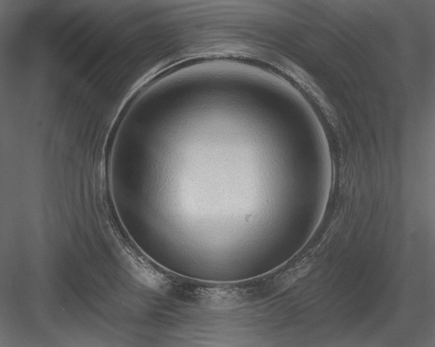 X0000083971234200702232009