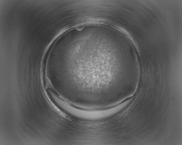X0000083971235200702232009