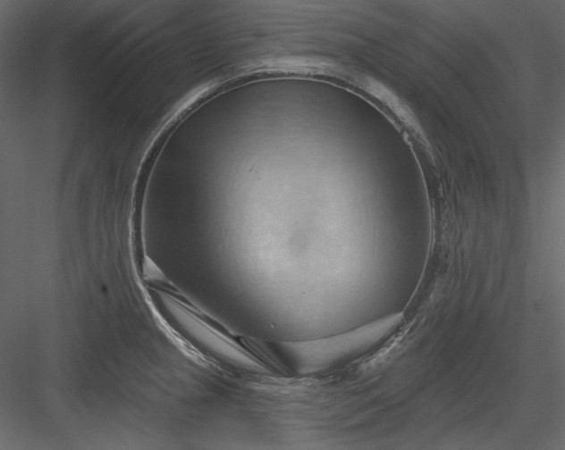 X0000083971237200702232009