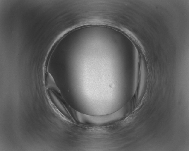 X0000083971238200702232009