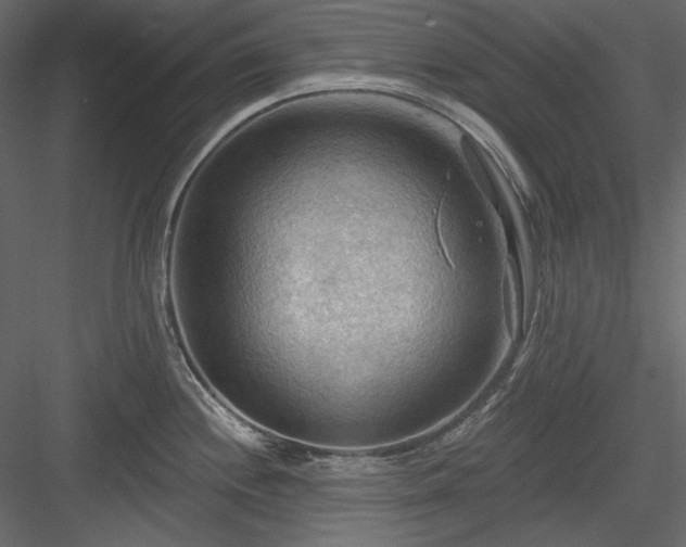 X0000083971244200702232009