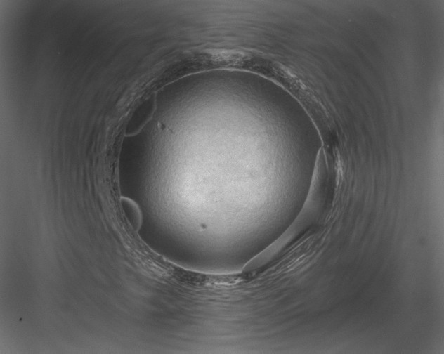 X0000083971249200702232008