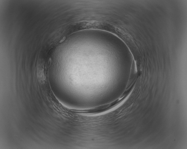 X0000083971250200702232008