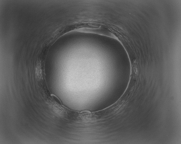 X0000083971252200702232008