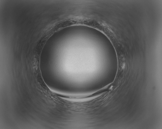 X0000083971253200702232008