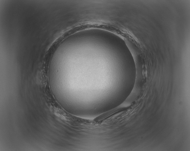 X0000083971256200702232008