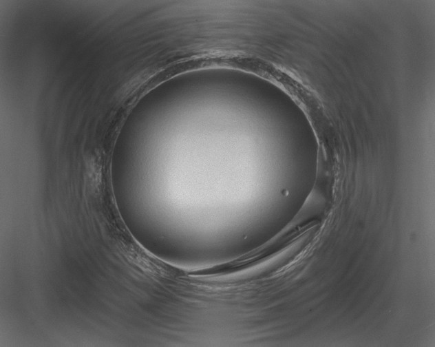 X0000083971257200702232008
