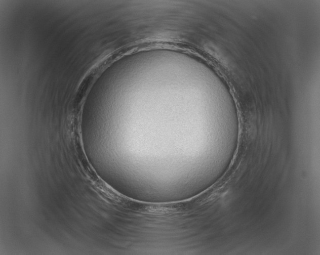X0000083971258200702232008