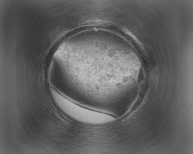 X0000083971259200702232008