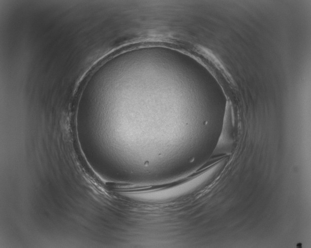 X0000083971260200702232008