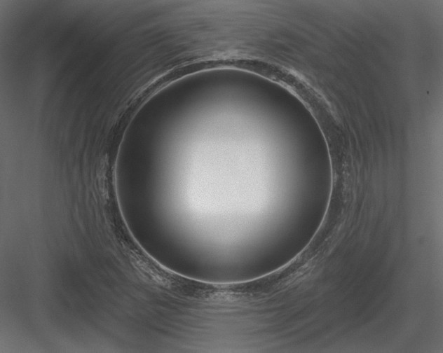 X0000083971265200702232008