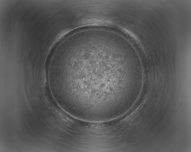 X0000083971267200702232008