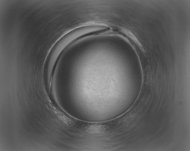 X0000083971268200702232008