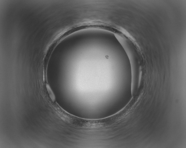 X0000083971269200702232008