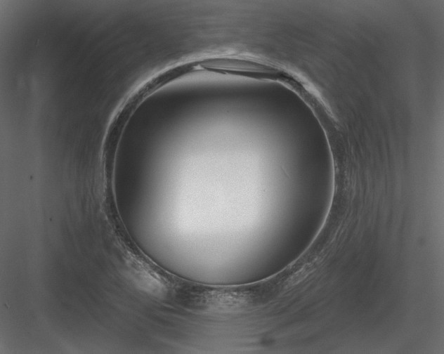 X0000083971270200702232008