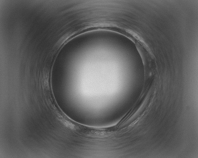 X0000083971273200702232008