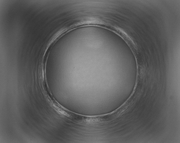 X0000083971274200702232008