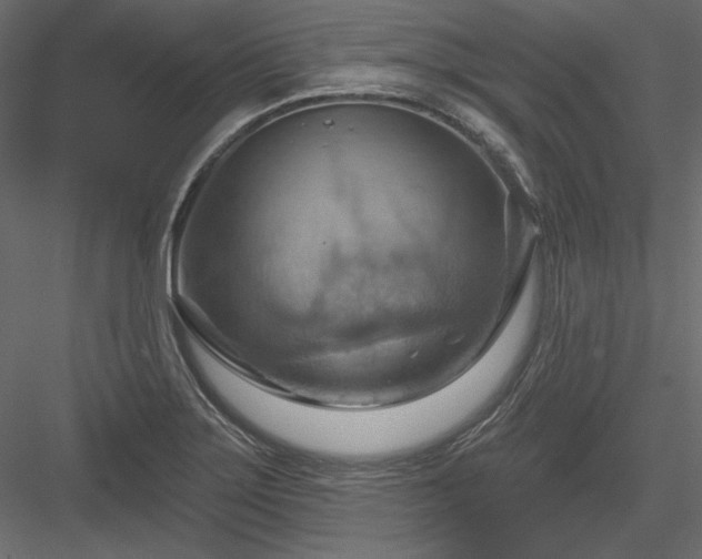 X0000083971275200702232008